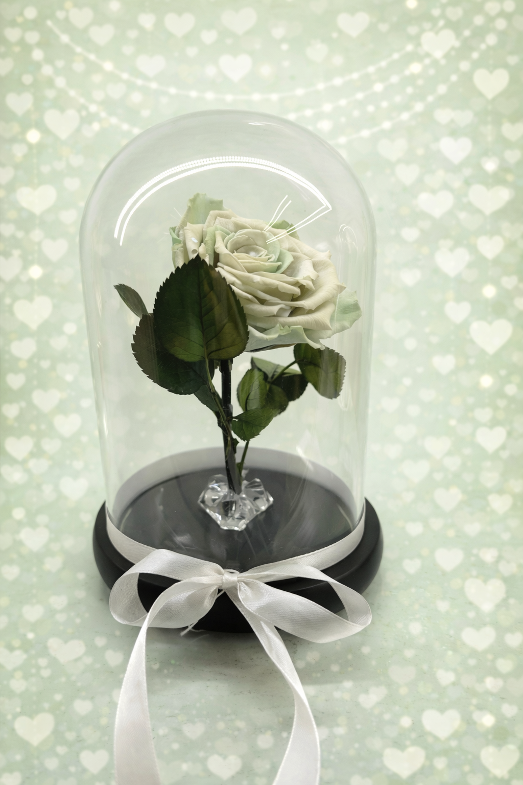 213F092B-BD5A-4707-8294-FF9A886D623F