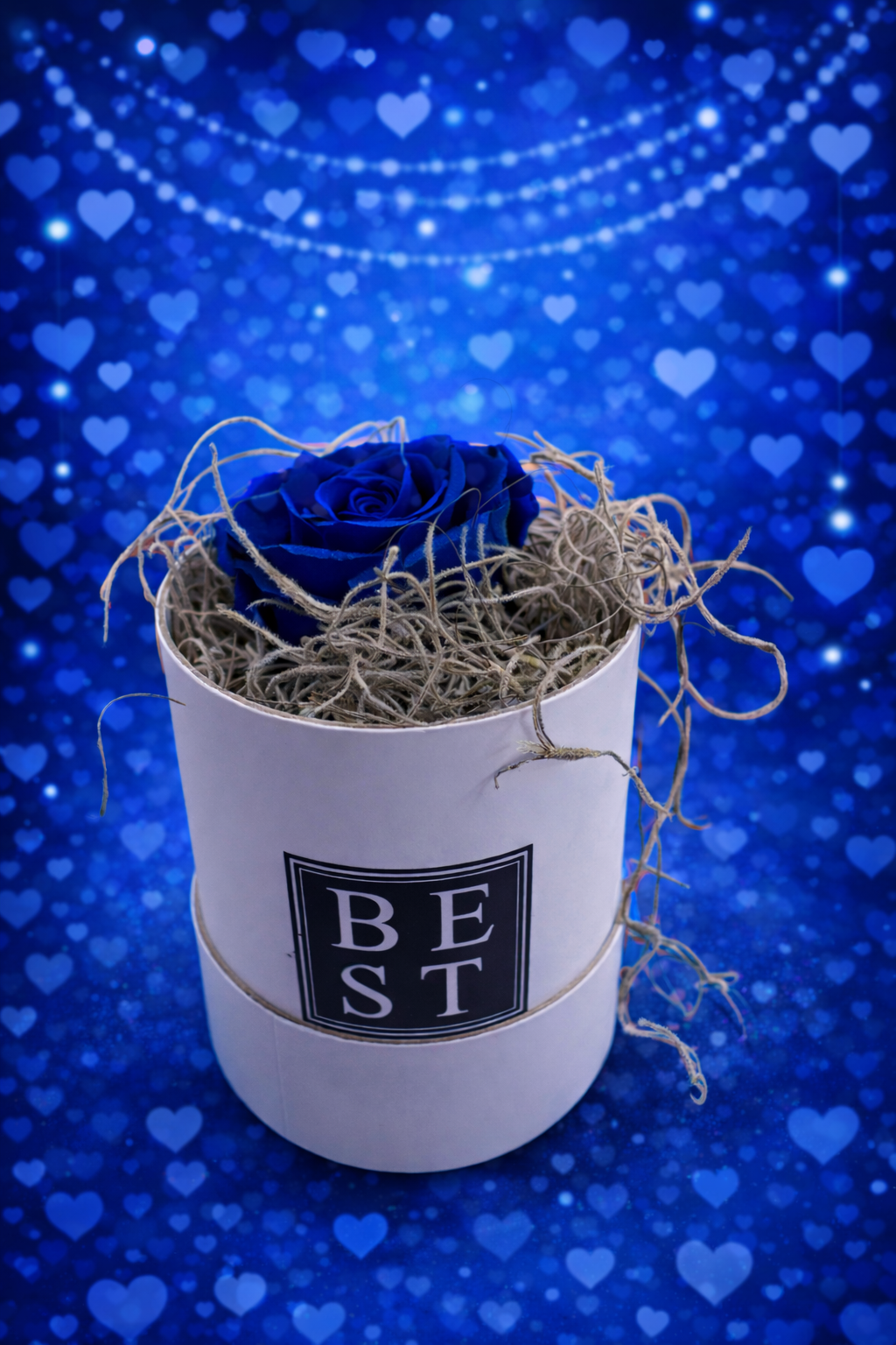 2E5837FA-EC87-494F-AEDB-B33CA4C7C5C0